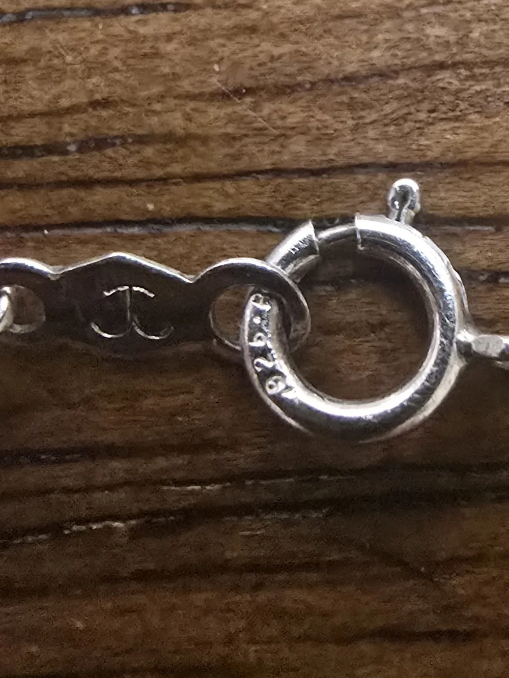 Sterling Silver Dolphin Pendant With Necklace 21